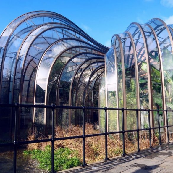 Bombay Sapphire Distillery tour @minkaguides Glasshouses greenhouses