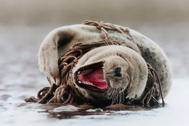 Exhibitions in London - Wildlife Photographer of the Year - share CREDIT Minka Guides