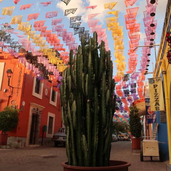 Things to do in Oaxaca City - share CREDIT Minka Guides